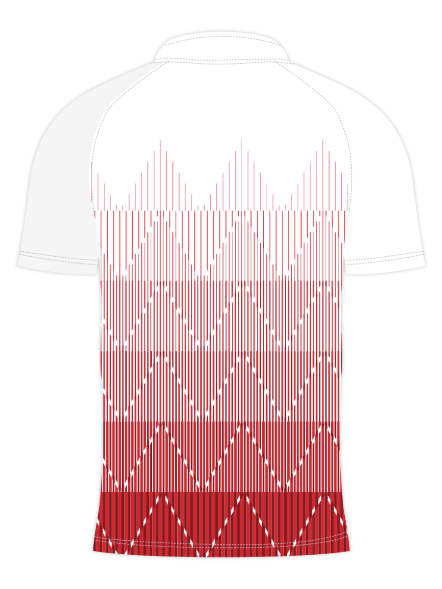 custom sonic pulse design sublimated polo shirts back side